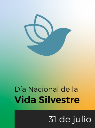 imagen de efeméride